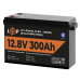 Аккумулятор LP LiFePO4 12,8V - 300 Ah (3840Wh) (Smart BMS 200А) с BT пластик - 2