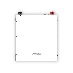 Акумуляторна батарея Dyness A48100 48V 100Ah 4.8kWh LiFePO4