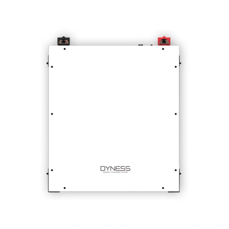 Акумуляторна батарея Dyness A48100 48V 100Ah 4.8kWh LiFePO4
