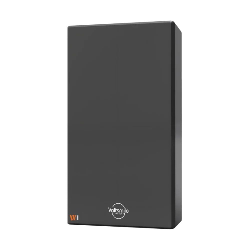 Комплект резервного питания: гибридный инвертор 6kW Deye SUN-6K-SG05LP1-EU и аккумуляторная батарея 51.2В Voltsmile W1 Classic - 2