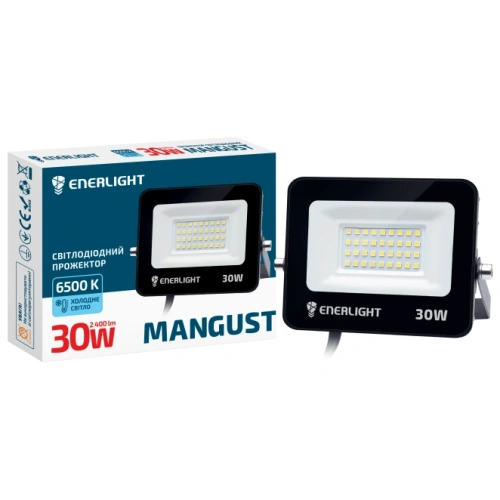 ENERLIGHT MANGUST Прожектор світлодіодний 30Вт 6500K