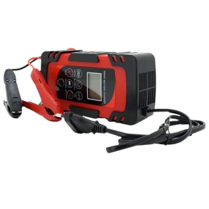 DEMUDA 12V/24V (MF,WET,AGM,GEL) Автоматический ЗУ для аккумулятора