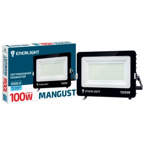 ENERLIGHT MANGUST Прожектор світлодіодний 100Вт 6500K