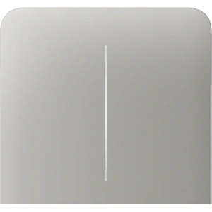 Ajax SideButton (2-gang) vertical [55] ASP oyster Кнопка