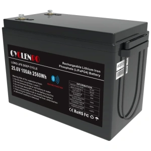 Cyclen 25.6В 100А•год 100А Літієва акумуляторна батарея