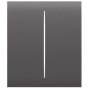 Ajax CenterButton (2-gang) grey для двоклавішного вимикача Кнопка центральна
