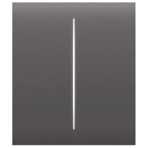 Ajax CenterButton (2-gang) grey для двоклавішного вимикача Кнопка центральна