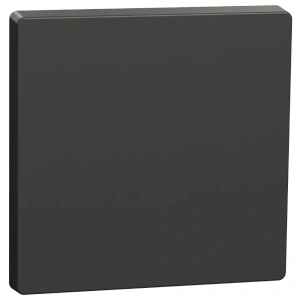 Schneider Electric Merten System Design MTN3300-6034 Клавіша