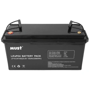 Must LP15-24100 25.6В 100А•г Літієва акумуляторна батарея