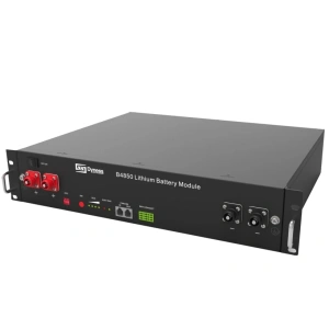 Dyness B4850G 48В 2,4 кВт•г 50А Літієва акумуляторна батарея