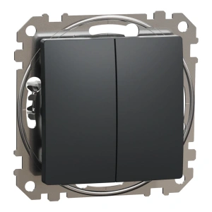 Schneider Electric Sedna Design & Elements SDD214105 Двоклавішний вимикач